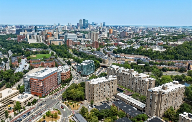 Studio, 1 bath, 500 sqft, $2,500, Unit 1110