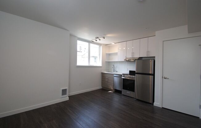 Studio, 1 bath, 255 sqft, $1,195, Unit 215 NEW