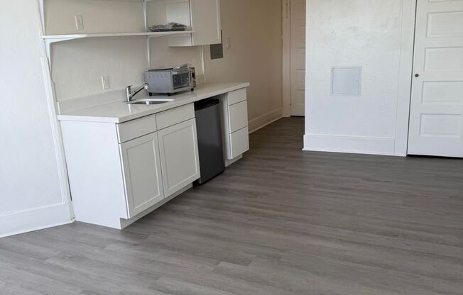 Studio, 1 bath, 250 sqft, $1,195, Unit 300