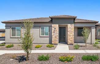 Property Exterior at Avilla Palomino, Glendale, AZ 85302