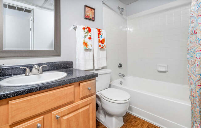 a bathroom with a sink toilet and bath tub