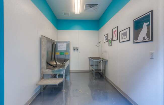 a washing station and grooming for your furry friend with chair and a sink