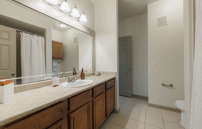 a bathroom with a sink and a mirror and a toilet