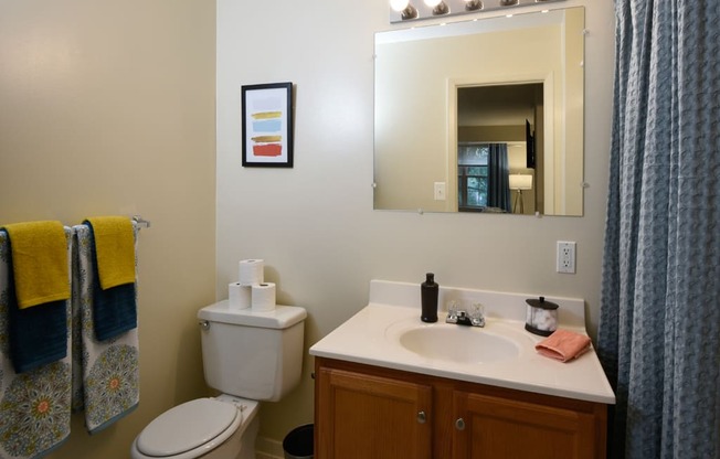 Bathroom Accessories at Woodridge Apartments, Randallstown, 21133