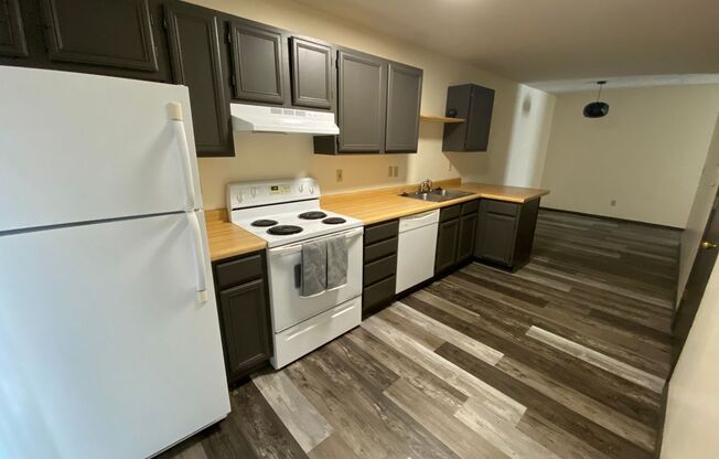 Newly Renovated 2-BD, 2-BA Duplex on Bloomington's South Side