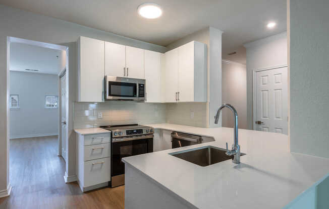 Kitchen with Stainless Steel Appliances