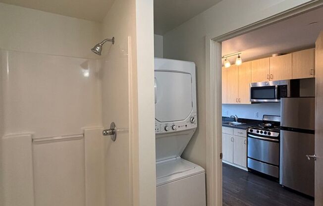 Studio, 1 bath, 262 sqft, $1,350, Unit 203