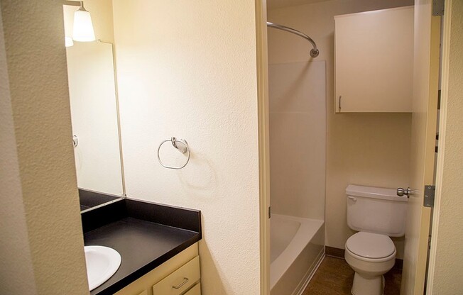 1 bed, 1 bath, 700 sqft, $1,425, Unit 0224