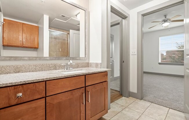 a bathroom with a sink and a mirror