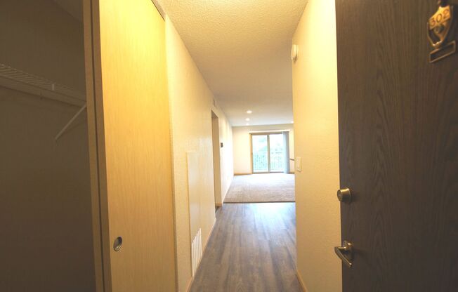 1 bed, 1 bath, 780 sqft, $1,334, Unit 302
