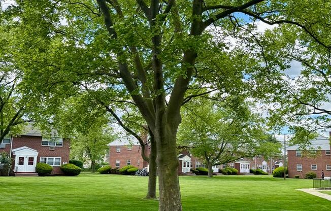 Studio, 1 bath, 450 sqft, $1,650, Unit 08A