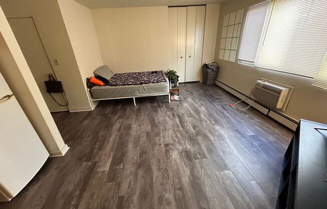 Studio, 1 bath, $750, Unit 317