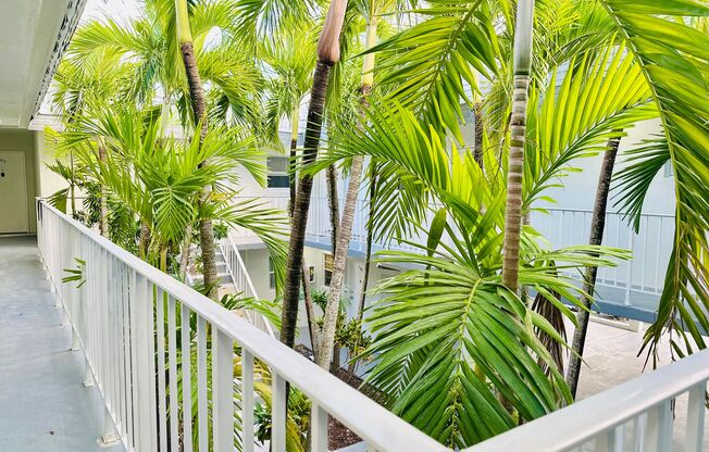 Newly Renovated Units Available Now!