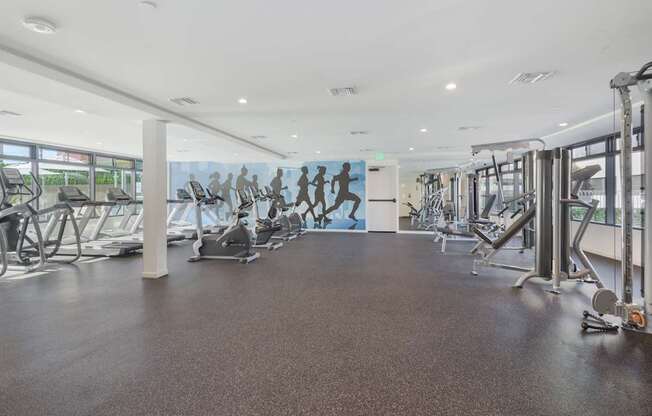 A gym with treadmills, elliptical machines, and other cardio equipment.