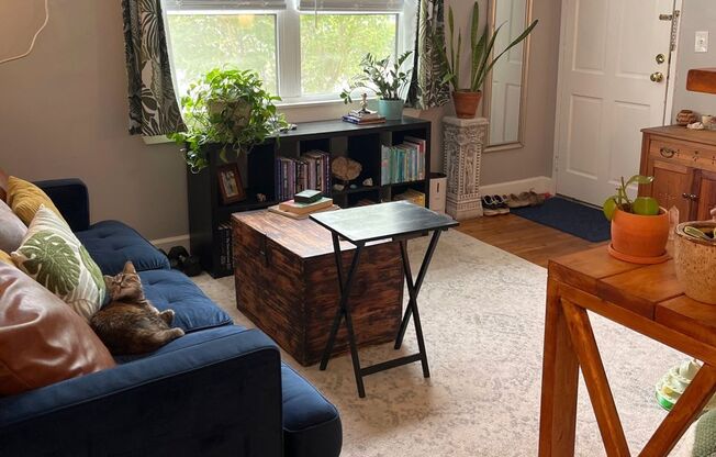 1 bed, 1 bath, 750 sqft, $1,725, Unit 282-05