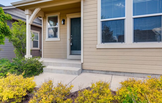 Cordera, D20, Great Street, 2 story Unfinished Basement.