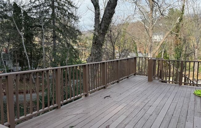 North AVL - Renovated Farmhouse with Bonus Rooms