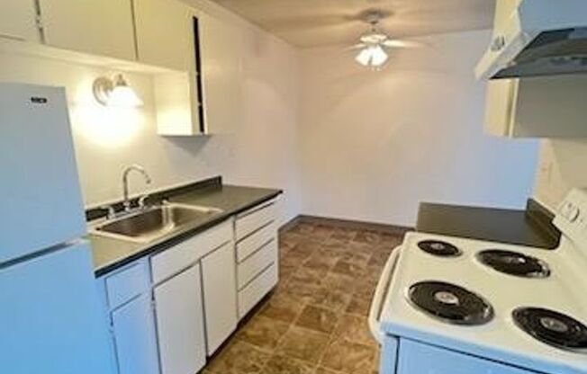 1 bed, 1 bath, 540 sqft, $1,195