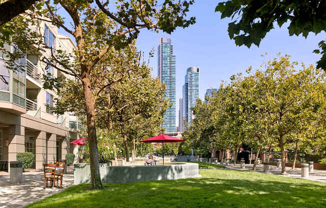 A park with trees and a bench in the foreground and apartment buildings in the background.