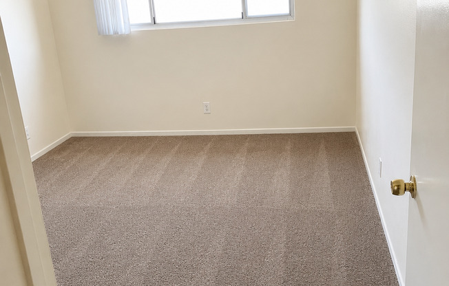 1020 Carob