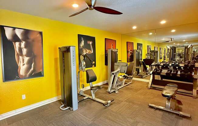A gym with a variety of equipment including a treadmill, weights, and a bench press.