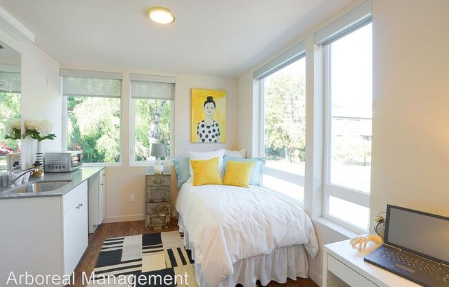 Modern Cozy Studio Apartments in First Hill
