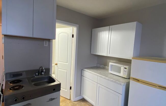 Studio, 1 bath, $599, Unit #245