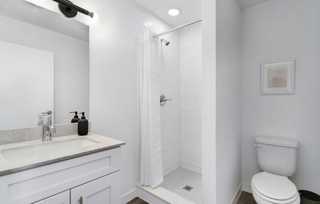 1 bed, 1 bath, 600 sqft, $1,099