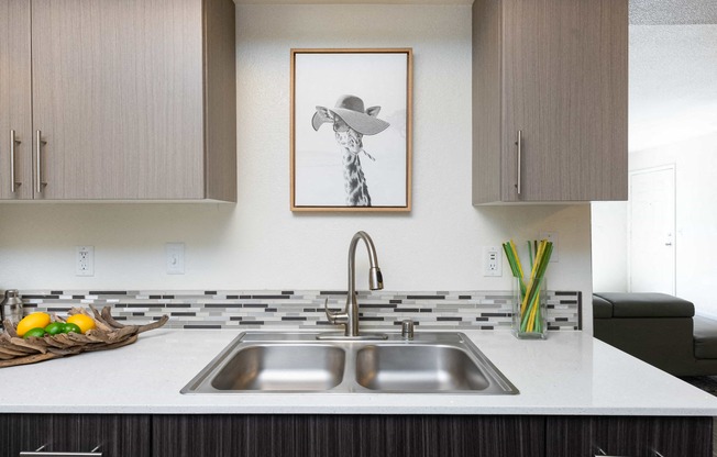 a kitchen counter with a sink and a picture on the wall