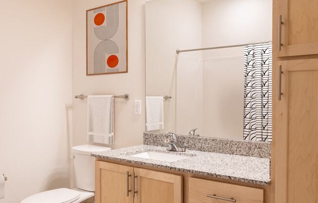 a bathroom with a toilet and a sink and a mirror