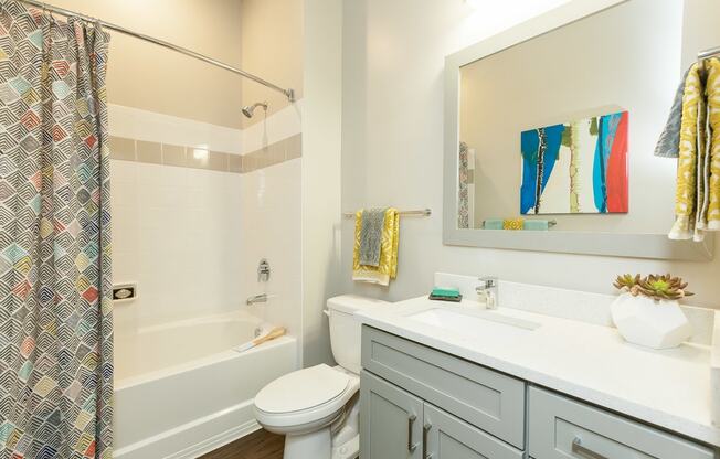Bathroom with Modern Fixtures at Proximity Apartments, Charleston, South Carolina