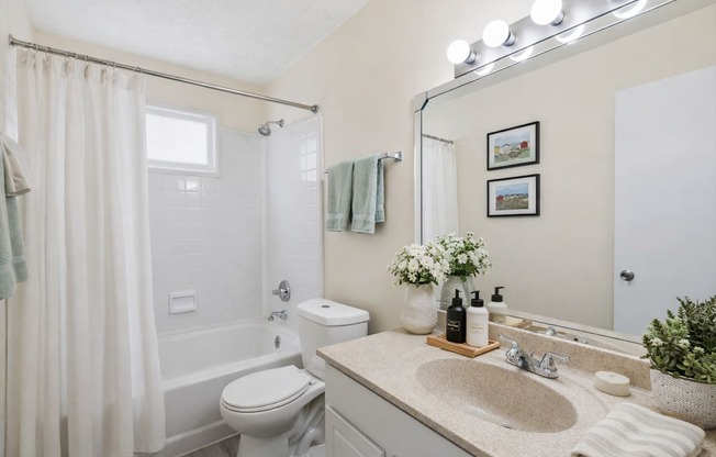 A bathroom with a toilet, sink, and shower.