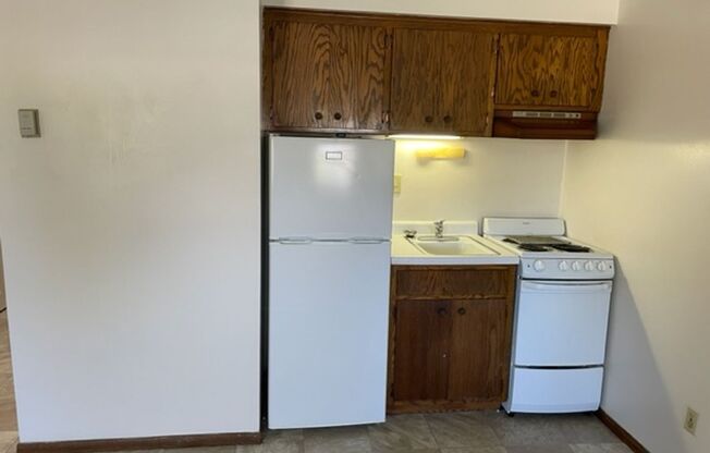 Studio, 1 bath, $719, Unit 2129 102