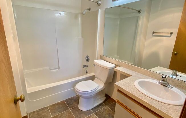 Studio, 1 bath, 413 sqft, $1,295, Unit 310