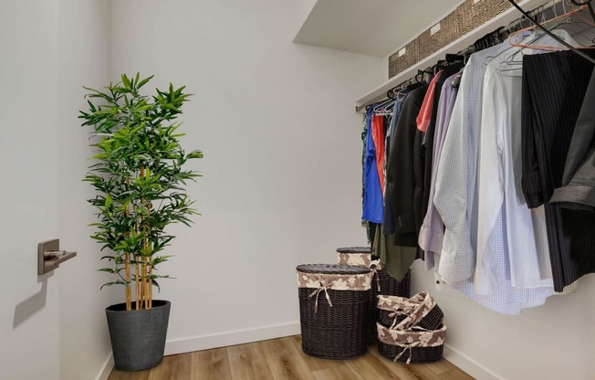 a walk in closet with a plant and baskets on the floor