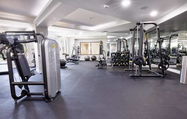 the gym at the wheatsheaf by trafalgar