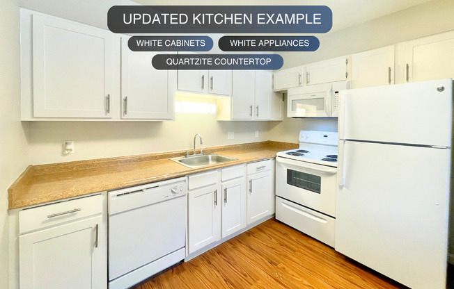 2 beds, 1 bath, 800 sqft, $1,445