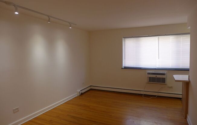 Studio, 1 bath, 305 sqft, $1,195, Unit 309