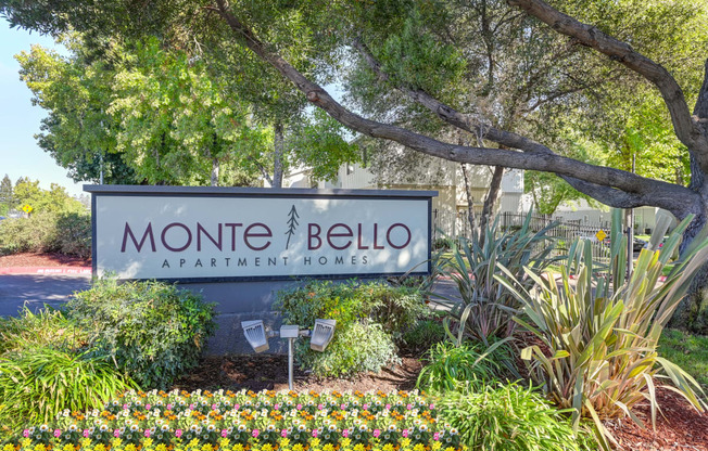 Monte Bello Community Monument sign at front of the community.  There is a mature tree hanging over the sign and flowers in front of it. at Monte Bello Apartments, Sacramento, CA