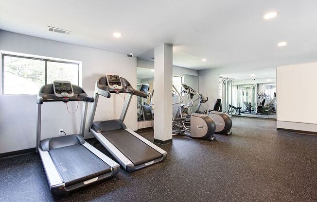 A gym with treadmills and elliptical machines.