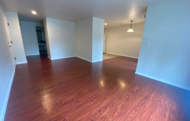 1 bed, 1 bath, 780 sqft, $1,549, Unit 103