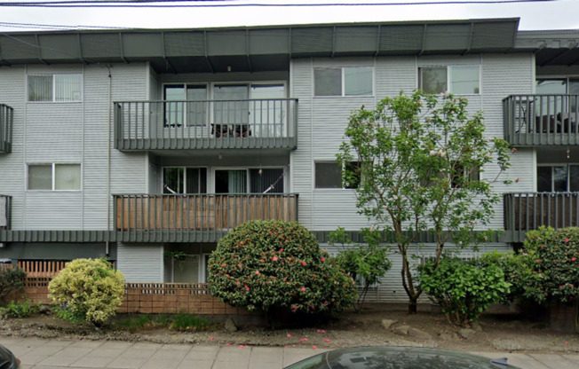 1 bed, 1 bath, 575 sqft, $1,950, Unit 101