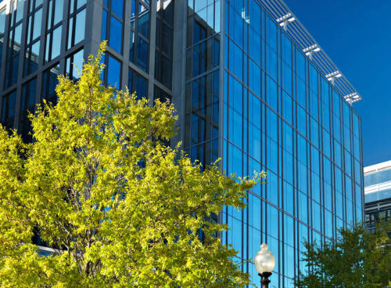 a tall building with trees in front of it