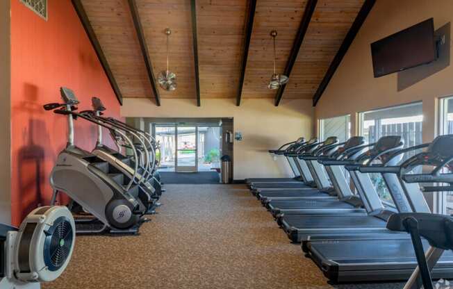A gym with treadmills and elliptical machines.