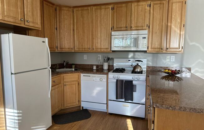 1 bed, 1 bath, 578 sqft, $1,450, Unit F03