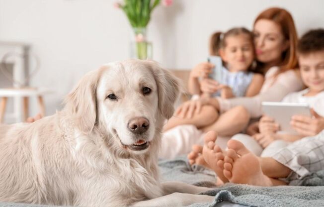 1 bed, 1 bath, 576 sqft, $1,199, Unit 0835