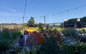 Studio, 1 bath, 585 sqft, $1,675, Unit 506