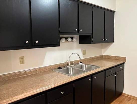 A kitchen with black cabinets and a sink.
