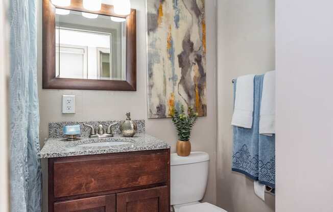 a bathroom with a toilet and a sink and a mirror