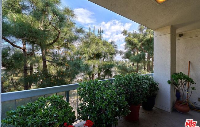 4460 Wilshire Blvd Apt 403